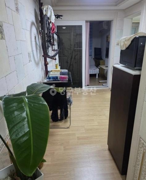 경기도 안산시 상록구 사동 빌라(투룸 이상) 사진 1