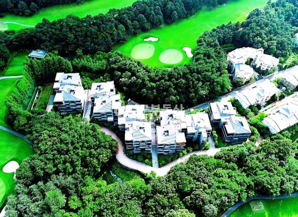 경기도 용인시 기흥구 보정동 아파트 사진 1