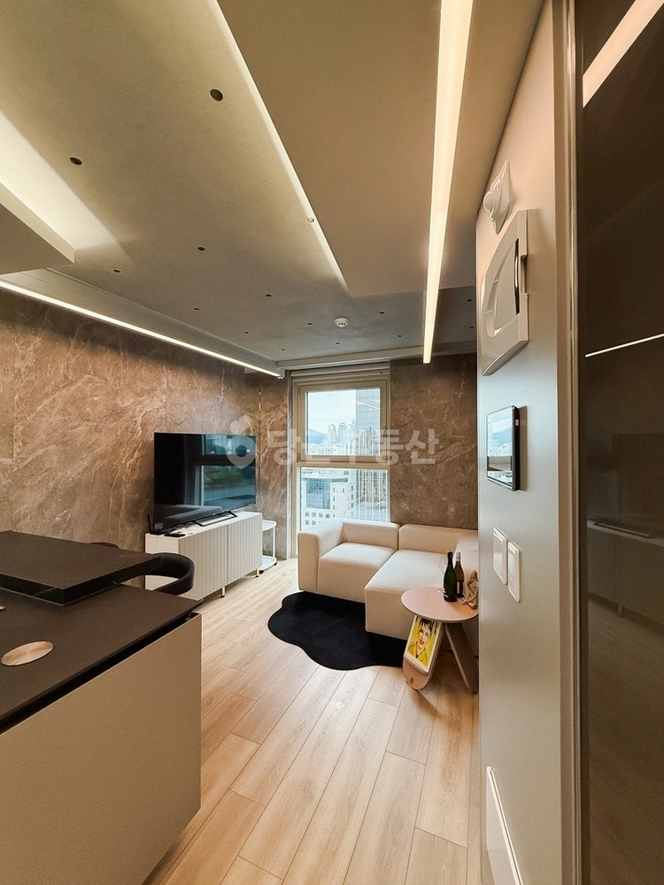 서울특별시 강남구 역삼동 오피스텔 사진 1