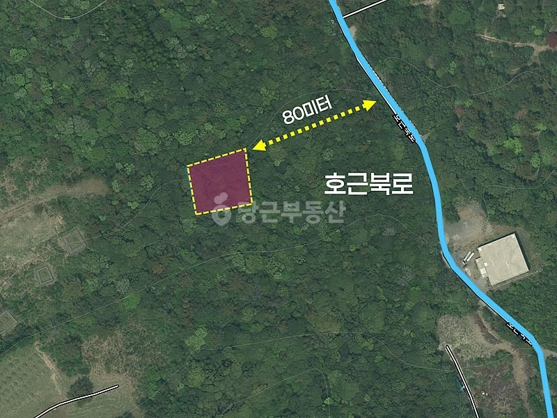제주특별자치도 서귀포시 호근동 토지 사진 1