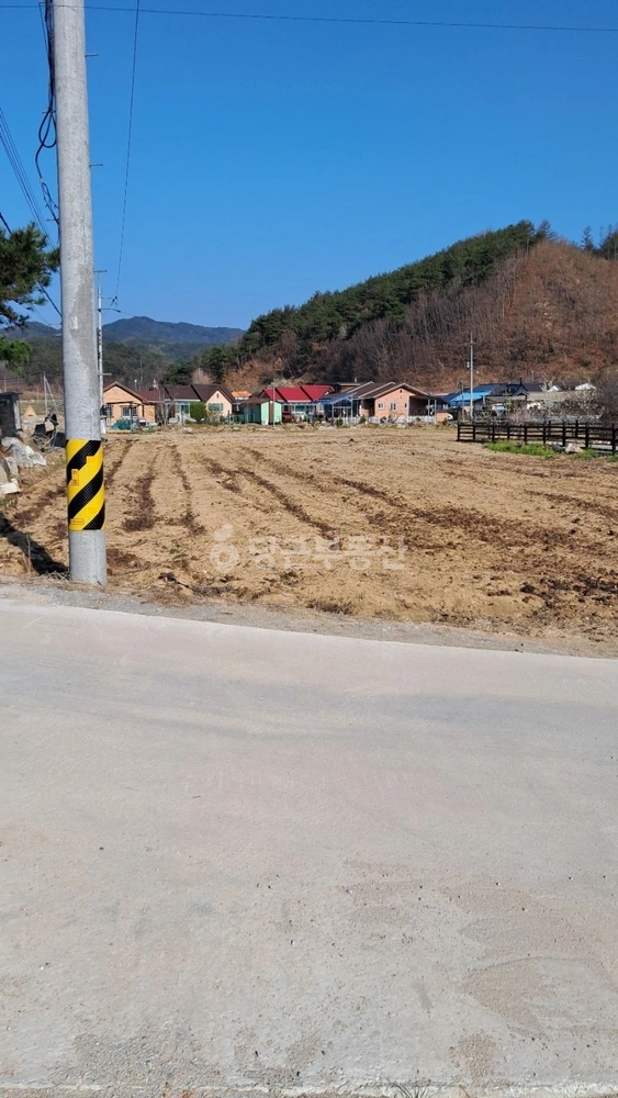경상북도 봉화군 물야면 토지 사진 1