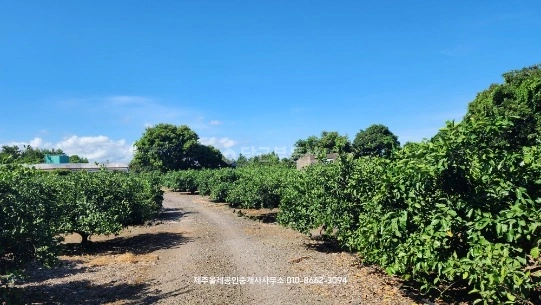 제주특별자치도 서귀포시 표선면 토지 사진 1