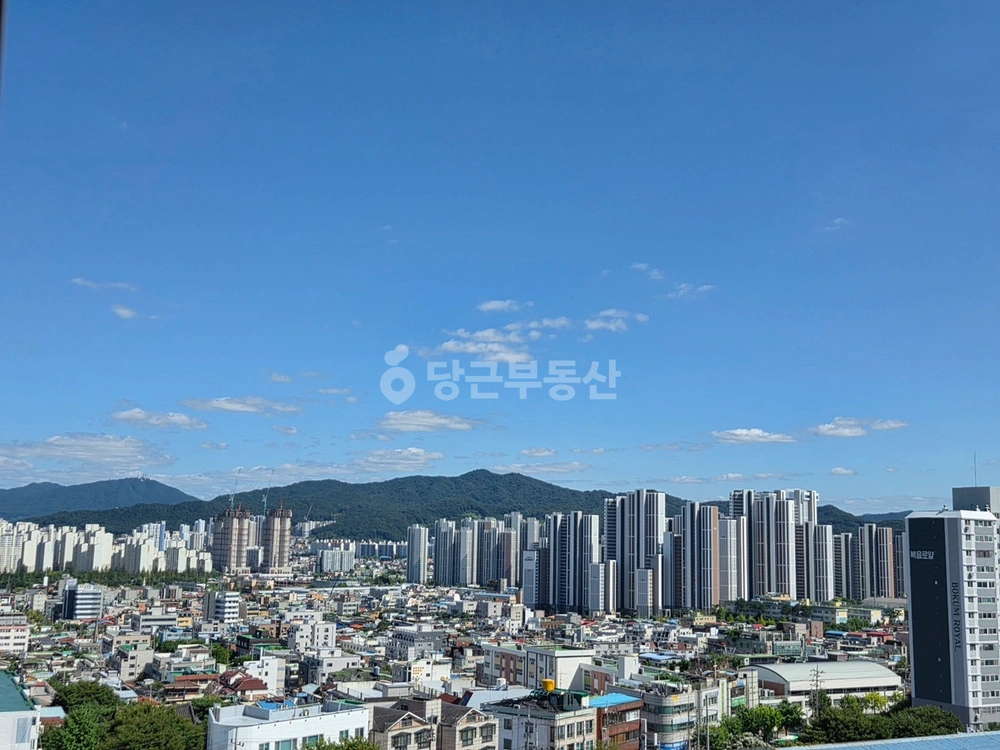 대전광역시 서구 도마동 아파트 사진 1