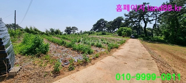 전북특별자치도 부안군 백산면 토지 사진 1