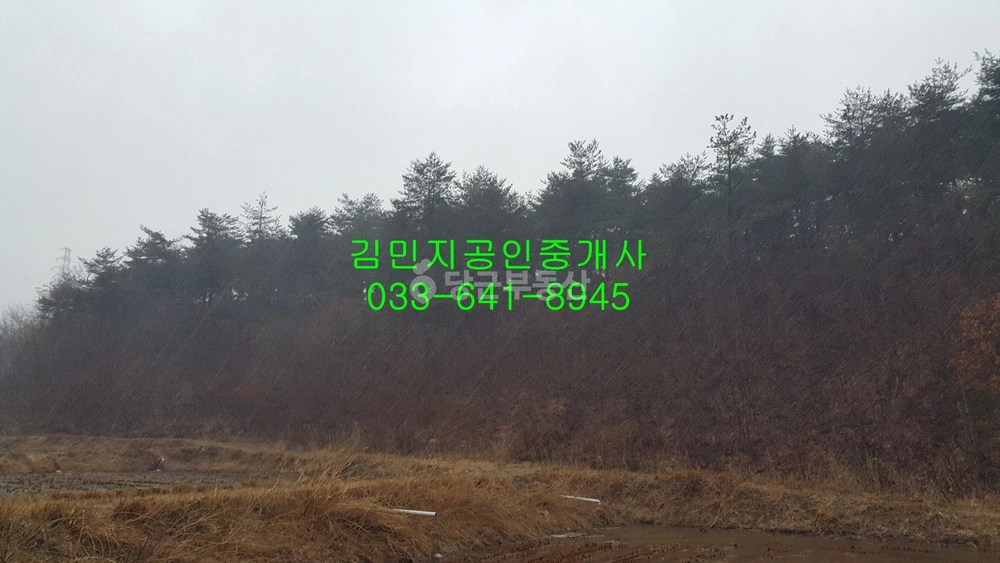 강원특별자치도 강릉시 주문진읍 토지 사진 1