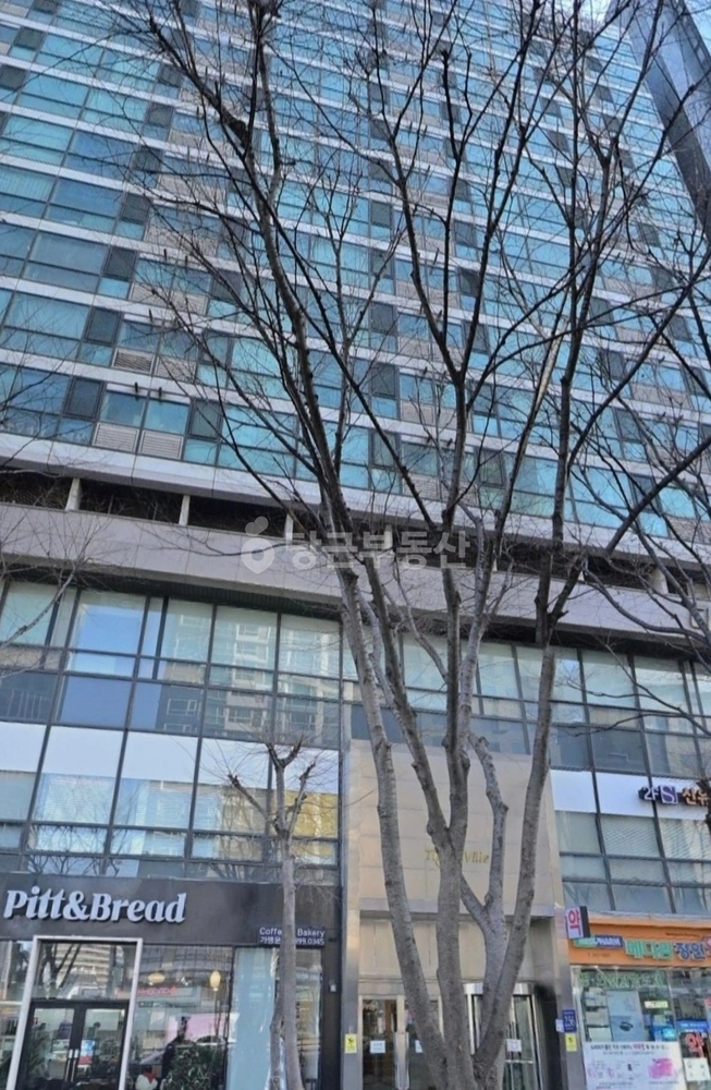 서울특별시 강남구 도곡동 아파트 사진 1