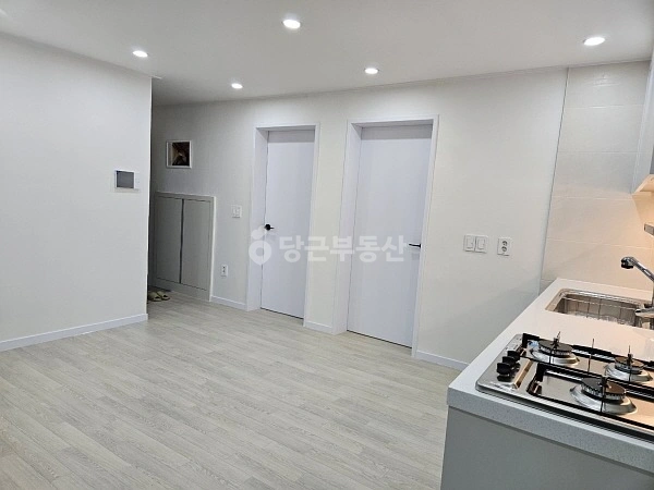 대전광역시 중구 유천동 빌라(투룸 이상) 사진 1