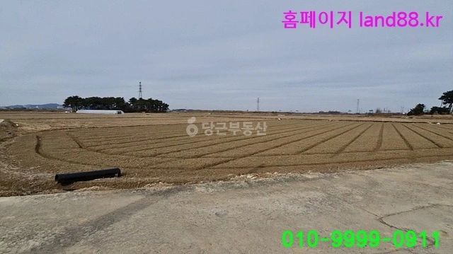 전북특별자치도 부안군 백산면 토지 사진 1