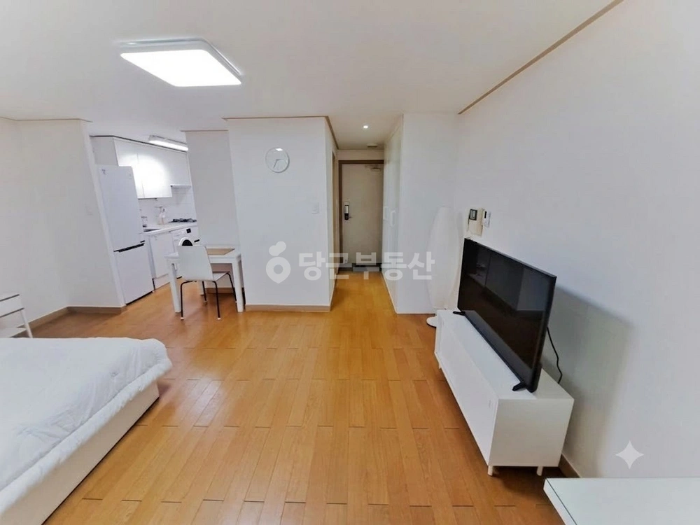 서울특별시 강남구 역삼동 원룸 사진 1