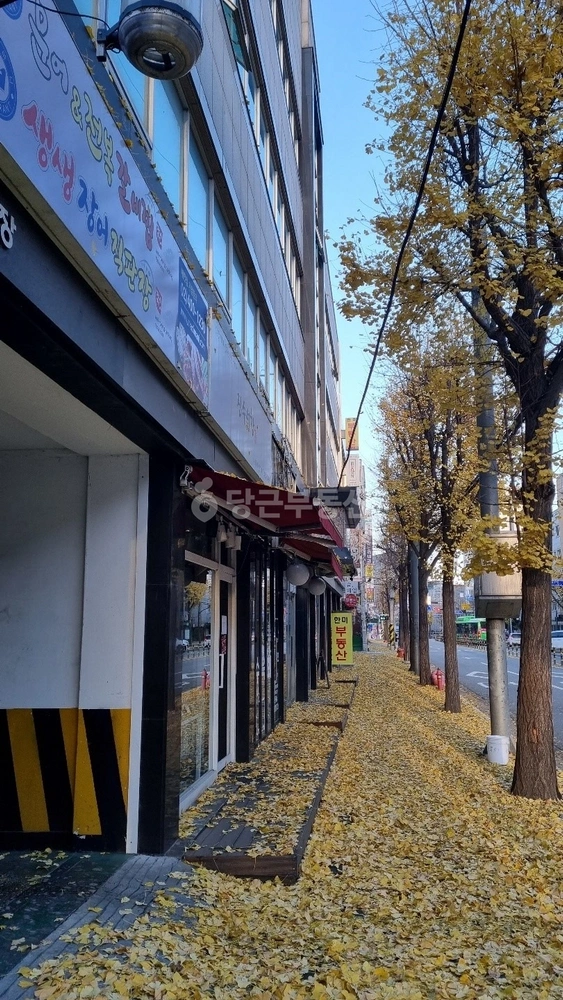 서울특별시 송파구 오금동 사무실 사진 1