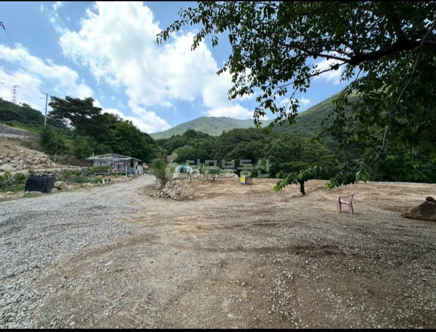 경상남도 창녕군 성산면 토지 사진 1