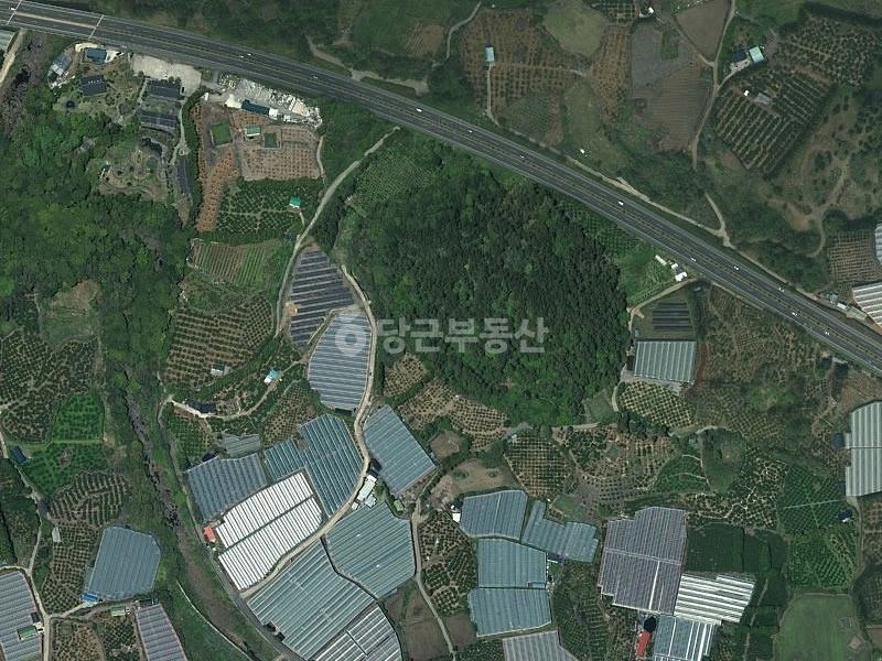 제주특별자치도 서귀포시 상예동 토지 사진 1