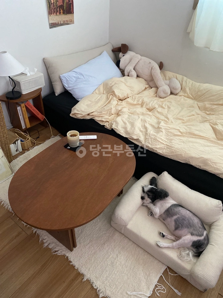 서울특별시 강서구 화곡동 오피스텔 사진 1