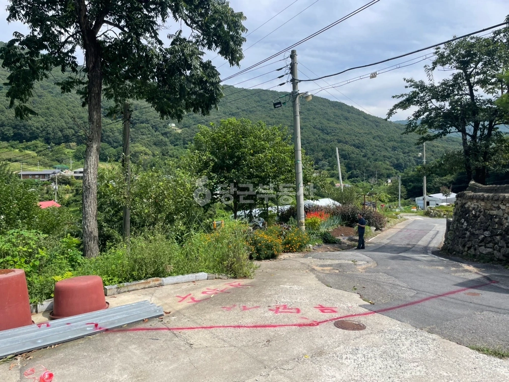 충청남도 천안시 동남구 목천읍 토지 사진 1