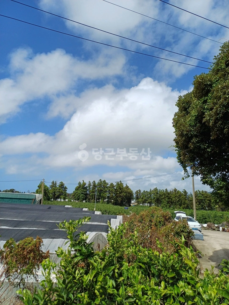 제주특별자치도 서귀포시 표선면 토지 사진 1