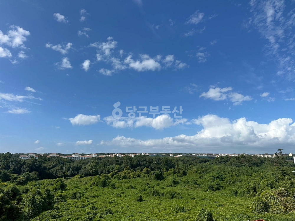 제주특별자치도 서귀포시 대정읍 오피스텔 사진 1
