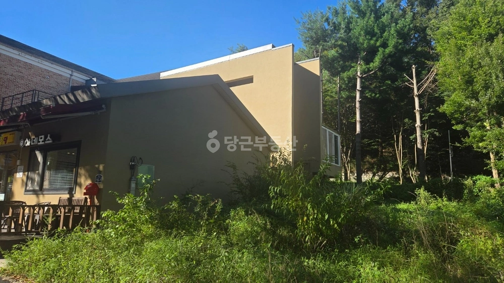 충청남도 계룡시 금암동 건물 사진 1