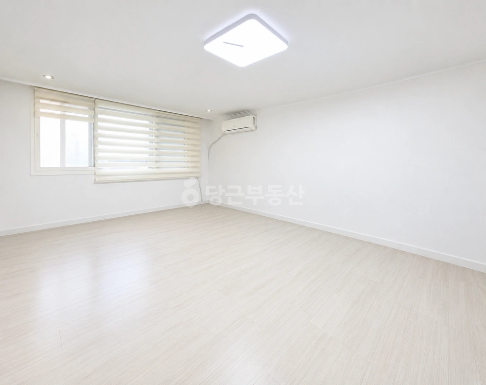 서울특별시 강남구 신사동 원룸 사진 1