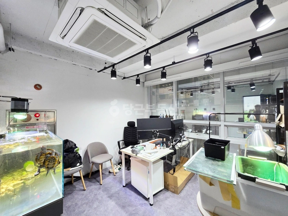 서울특별시 강남구 역삼동 사무실 사진 1
