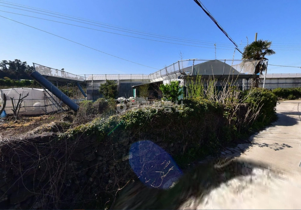제주특별자치도 제주시 도련이동 토지 사진 1