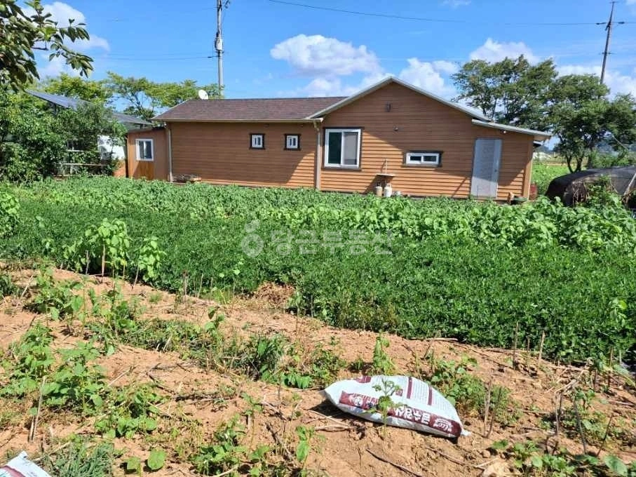 전남광주통합특별시 함평군 월야면 토지 사진 1