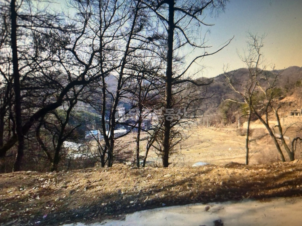 충청북도 청주시 서원구 남이면 토지 사진 1