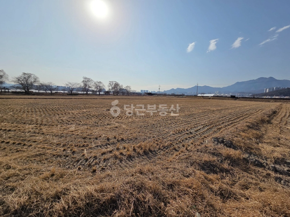 경상북도 구미시 지산동 토지 사진 1
