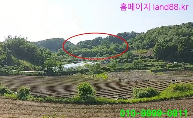 전북특별자치도 진안군 안천면 토지 사진 1