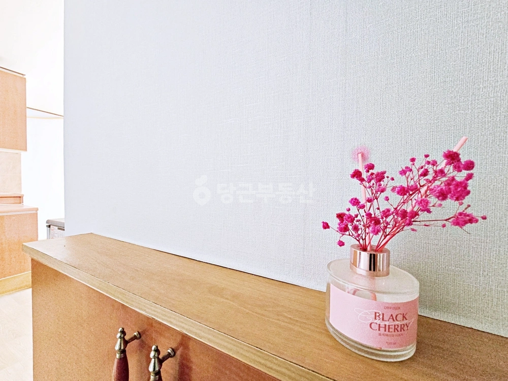 대구광역시 중구 동인동3가 원룸 사진 1