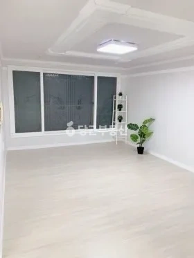 경기도 부천시 오정구 고강동 빌라(투룸 이상) 사진 1