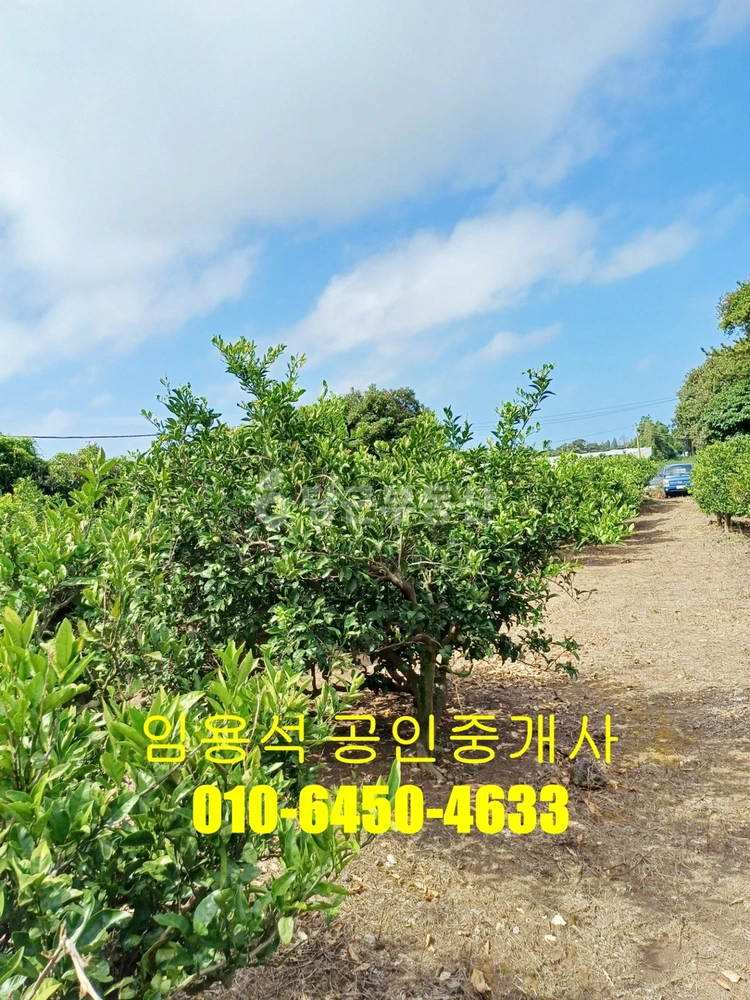 제주특별자치도 서귀포시 표선면 토지 사진 1