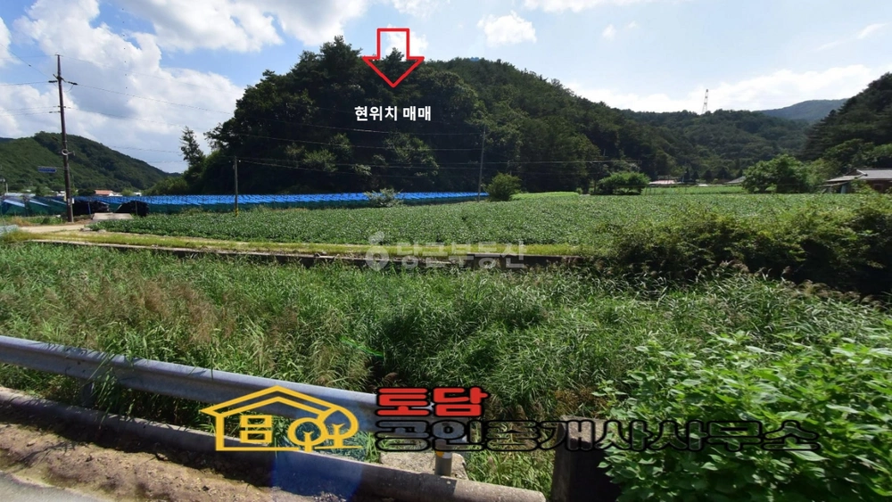 강원특별자치도 횡성군 청일면 토지 사진 1