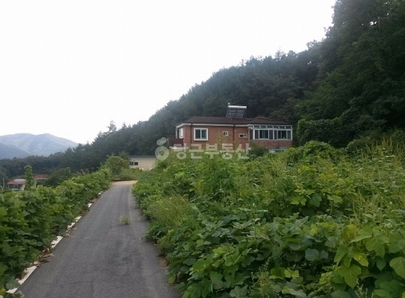 경기도 파주시 광탄면 토지 사진 1