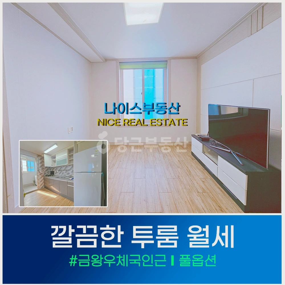 충청북도 음성군 금왕읍 빌라(투룸 이상) 사진 1
