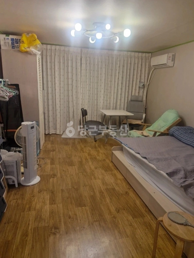 제주특별자치도 제주시 조천읍 원룸 사진 1