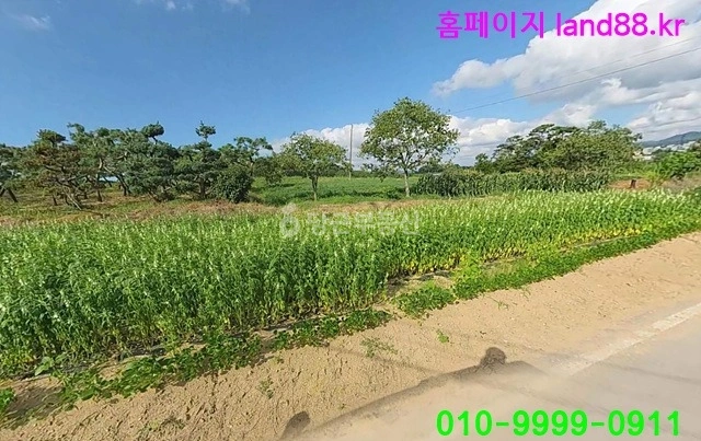 전북특별자치도 정읍시 용계동 토지 사진 1