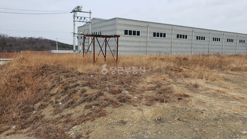 경상북도 영천시 금호읍 토지 사진 1