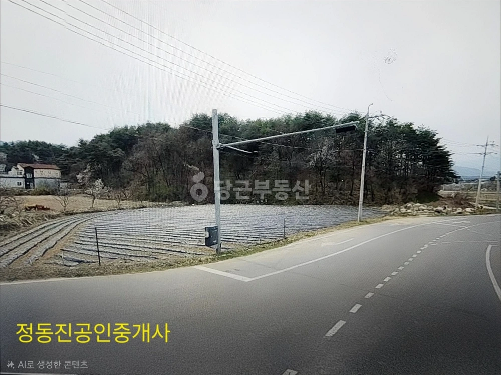 강원특별자치도 강릉시 구정면 토지 사진 1