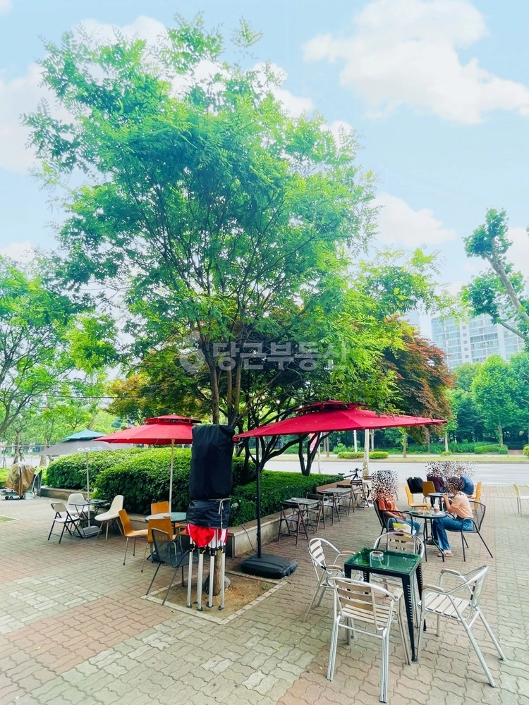 경기도 고양시 일산동구 장항동 상가 사진 1