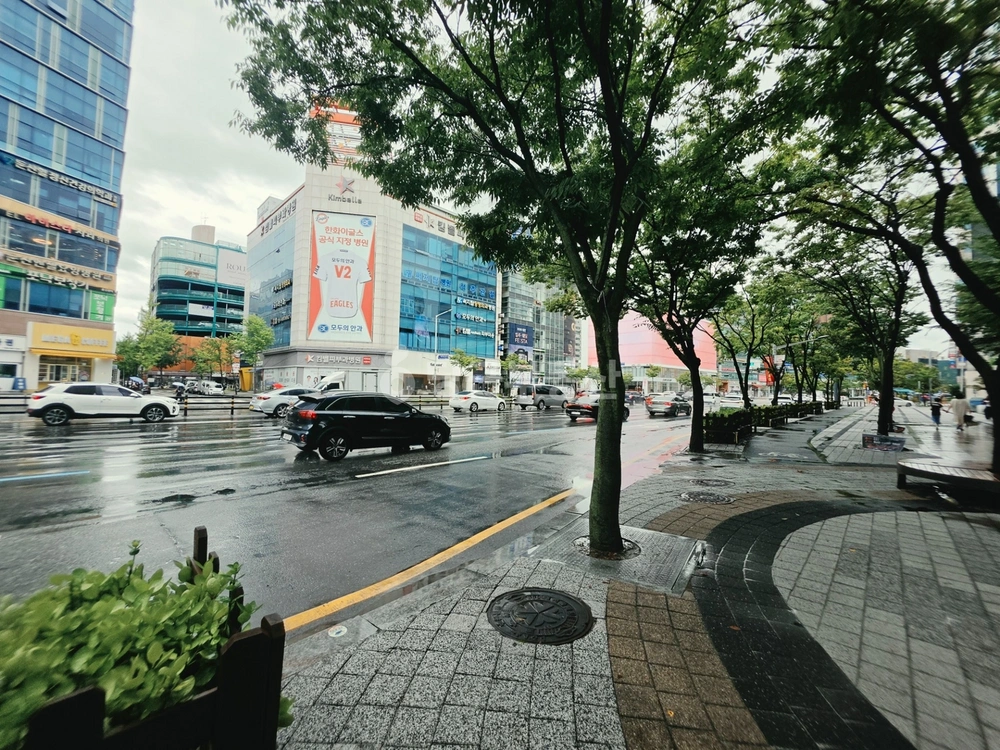 대전광역시 서구 둔산동 상가 사진 1