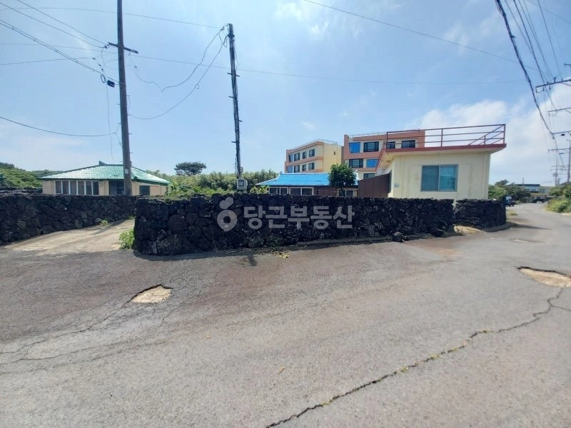 제주특별자치도 서귀포시 성산읍 단독/전원주택 사진 1