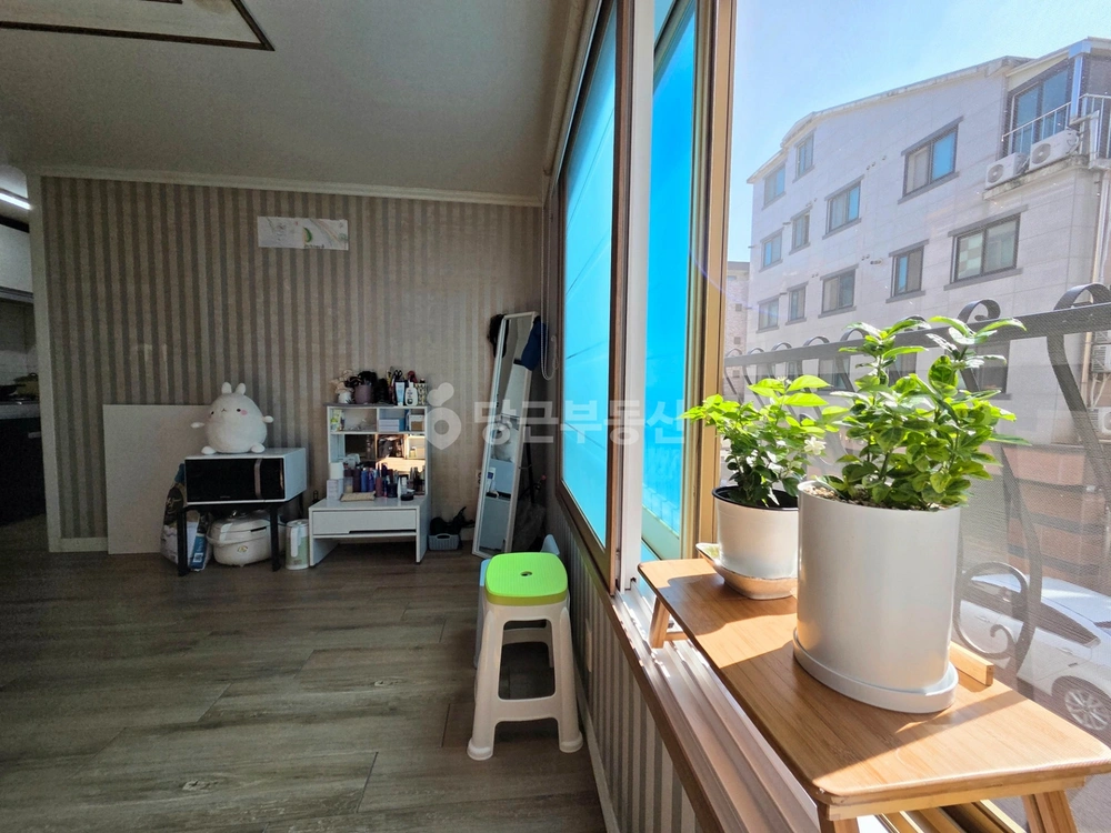 충청남도 아산시 용화동 빌라(투룸 이상) 사진 1