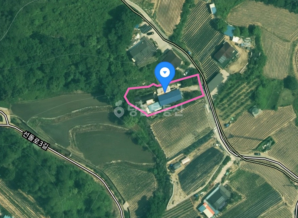 충청북도 제천시 송학면 토지 사진 1