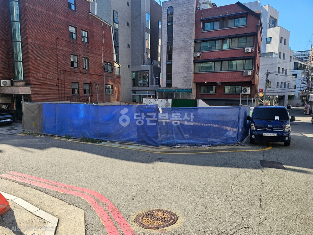 서울특별시 강남구 논현동 토지 사진 1