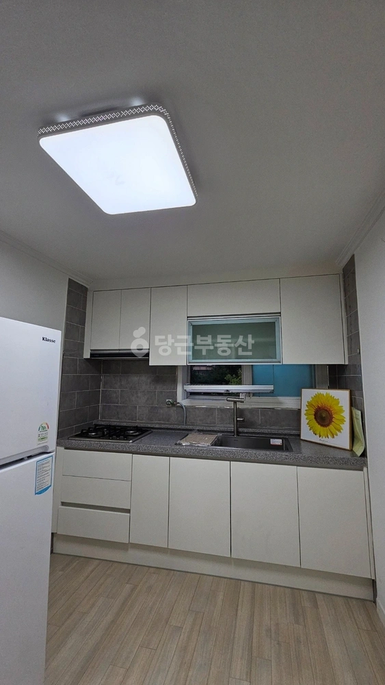 경기도 부천시 오정구 고강동 빌라(투룸 이상) 사진 1
