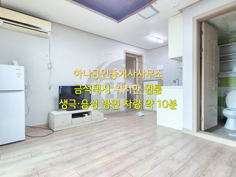 충청북도 음성군 금왕읍 원룸 사진 1