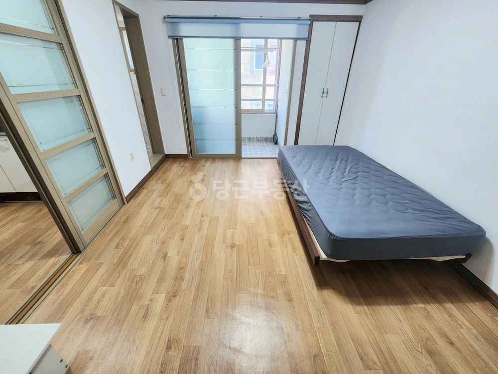 경상북도 포항시 북구 장성동 원룸 사진 1
