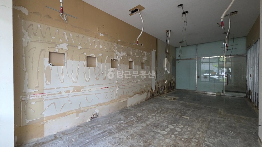 대전광역시 서구 둔산동 상가 사진 1