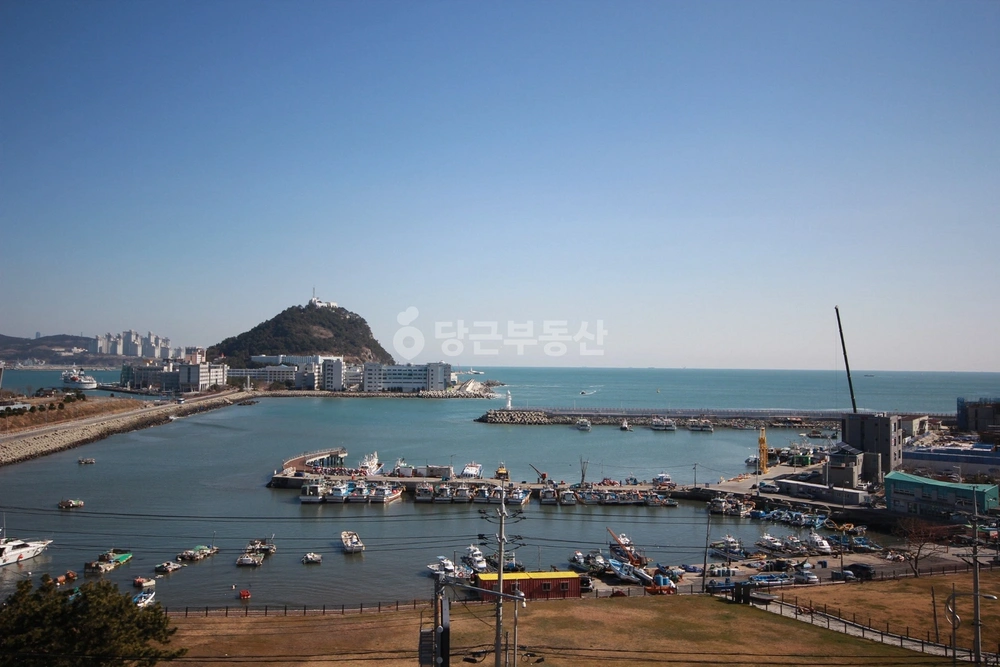 부산광역시 영도구 동삼동 원룸 사진 1