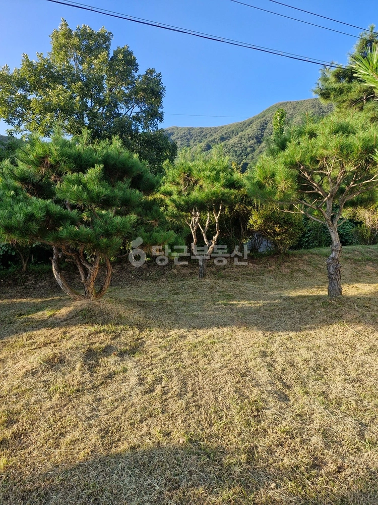 전북특별자치도 진안군 부귀면 토지 사진 1